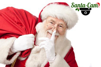 CCTV DUMMY SANTA CAM