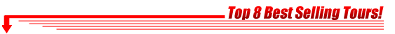 Top 8 Miami Tours