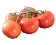 TOMATO, Truss, 500g (Certified Organic)