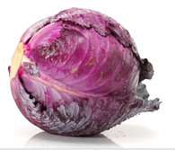 CABBAGE Red- Each (Certified Organic)
