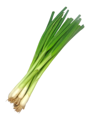 SPRING ONIONS- Bunch of 10 (Veggie Patch, Chemical Free)