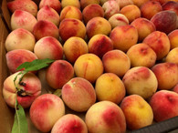 Peaches, 500g OR *1kg for $11* (Certified Organic, Local)