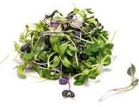 MICRO GREENS Mixed, 50g (Sunkist, Chemical Free)