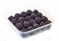 BLACKBERRIES, punnet (Certified Organic)