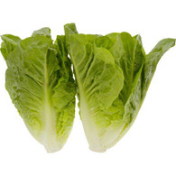 LETTUCE Cos- 2 pack (Certified Organic)