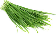 CHIVES Garlic- 25g Bunch (Sunkist, Chemical Free)