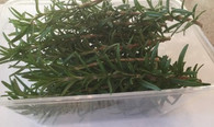 ROSEMARY 25g Container (Veggie Patch, Chemical Free)