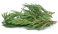 ROSEMARY 25g Container (Sunkist, Chemical Free)