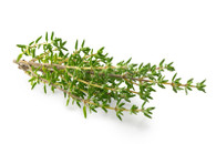 THYME- 25g Container (Veggie Patch, Chemical Free)