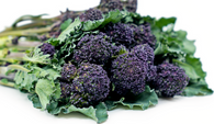 BROCCOLI BABY PURPLE - Bunch (Certified Organic)