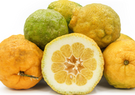 LEMONS Bush Lemons- 500g (Peters Farm) *Marks on Skin, but very juicy*