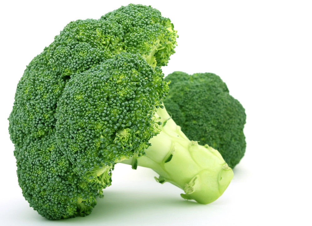 【broccoli】 BROCCOLI - 500g (1-2 Heads) (Certified Organic) - FROG Organic Boxes