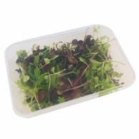 *NEW* MICRO Herbs, Mixed, 500ml container (Local, Chemical Free)