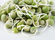 PEA SPROUTS, 70g (Sunkist, Chemical Free)