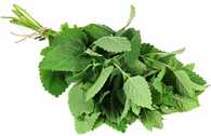 LEMON BALM- 25g  Container (Sunkist, Chemical Free)