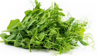 *New Product* Pea Tendrils, 1000mL container (Local, Chemical Free)