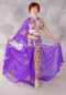 GAMILA II Egyptian Costume - Violet, Multi-color, Gold and Silver, Bra Size C-C/D