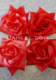 red and light red hair roses