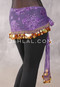 Egyptian Sheer Hip Scarf With Coins And Paillettes - Floral in Purple with Gold