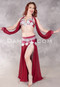 BLOSSOMS ON WINE Egyptian Costume - Wine and Silver, Bra Size B-B/C