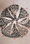 Belly Dance Hair Accessories in Black and White