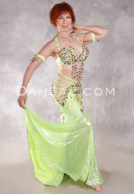  SHIMMERING IN LIME Egyptian Costume - Lime, Multi-color and Gold