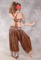 LUNA JADE II Silk Brocade Harem Pant and XL Halter Top Set - Warm Brown, Silver and Pastel Multi-color