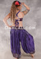 LUNA JADE II Silk Brocade Harem Pant and Small Sari Halter Top Set - Purple, Silver and Burgundy
