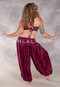 Back View