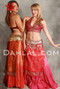 SATIN LINED VINTAGE SARI PANEL SKIRT, for Belly Dance image