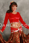 Egyptian Long Sleeve Velvet Coin Top, for Belly Dance image