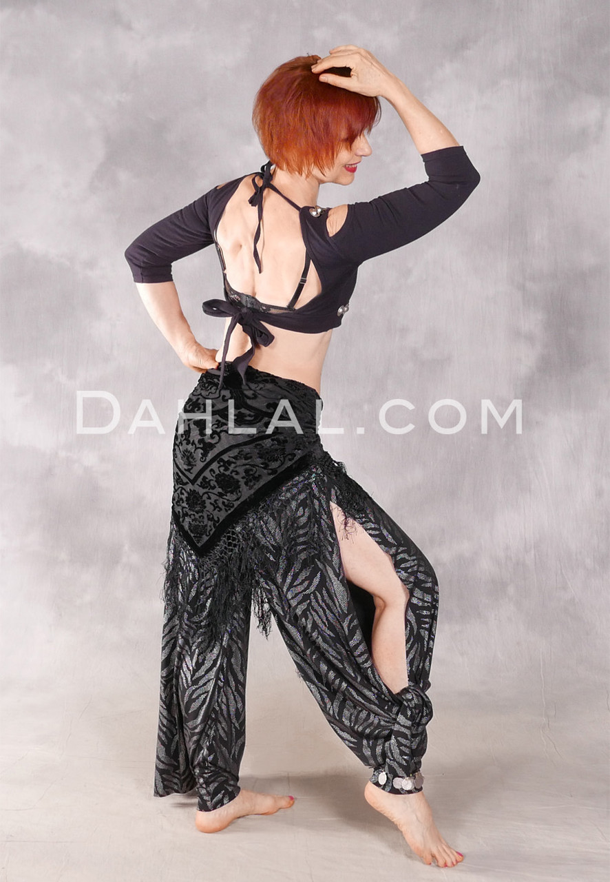 ZLTdream Belly Dance Chiffon Long Sleeves Top and Lantern Coins Pants  Black, One Size : Amazon.ca: Clothing, Shoes & Accessories