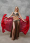 Red Silk Veil shown with Belly Dance Costume