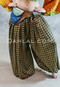 Close Up of Multi-Pocket Sari Belt