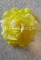 yellow hair flower