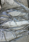 Close Up View