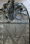 Close Up View