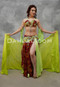 Blazing Sunset Dark Red and Lime Egyptian Costume
