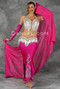 GREAT LOOP by Pharaonics of Egypt, Egyptian Belly Dance Costume, Available for Custom Order image