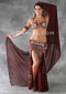 LABYRINTH by Pharaonics of Egypt, Egyptian Belly Dance Costume, Available for Custom Order image