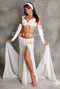 BOTANICA by Pharaonics of Egypt, Egyptian Belly Dance Costume, Available for Custom Order image