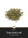 Gotu Kola Leaf Loose Herb @ Herbosophy
