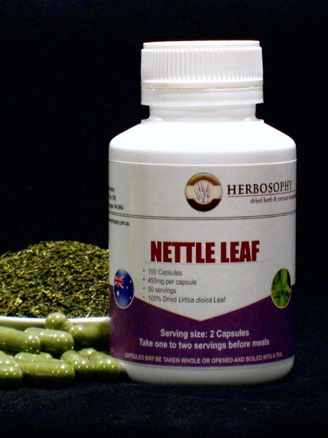 Nettle Leaf Loose Herb, Powder or Capsules @ Herbosophy