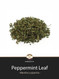 Peppermint Leaf Loose Herb @ Herbosophy