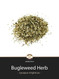 Bugleweed Loose Herb @ Herbosophy