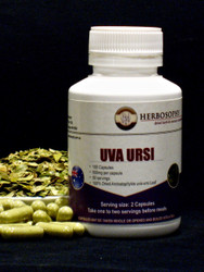 Uva Ursi Loose Herb, Powder or Capsules @ Herbosophy