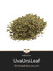 Uva Ursi Leaf Loose Herb @ Herbosophy