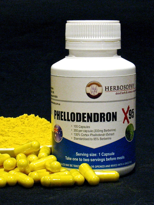 Phellodendron Berberine powder or capsules @ Herbosophy