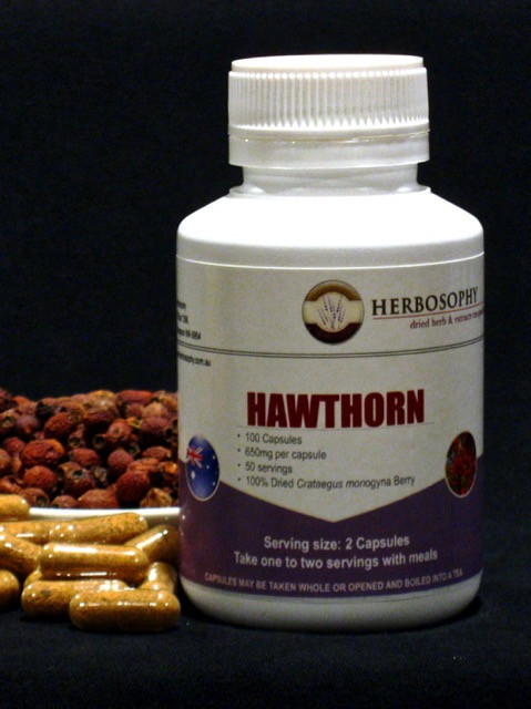 Hawthorn Berry Loose Herb, Powder or Capsules @ Herbosophy