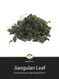 Jiaogulan Leaf Loose Herb @ Herbosophy